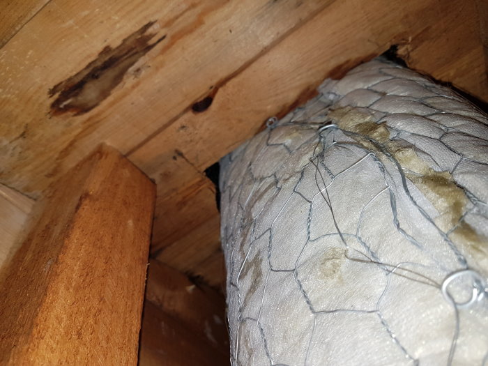 Vattenfläck på trä och isolering synlig i en väggkonstruktion, med fokus på skadade områden.