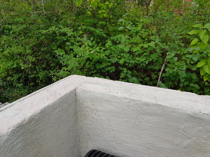 Översta delen av en vit lecamur med synliga ojämnheter som ska ha en betongskiva monterad på sig, bakgrund av grönska.