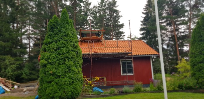 Nybyggd skorsten på röd stuga med skyddstält ovanpå, tegeltak, gröna buskar och blommande växter i förgrunden.