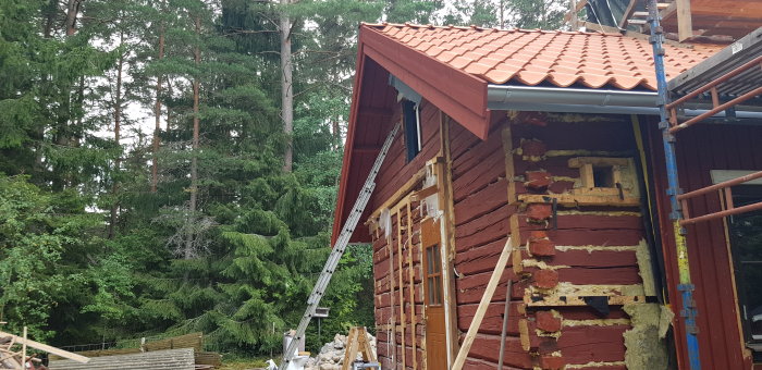 Renoveringsarbete på en röd timmerstuga med stegar upp mot taket och byggmaterial på marken.