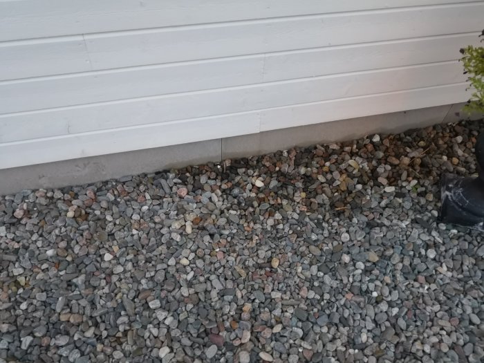 Fuktfläck nära grunden på en vitmålad yttervägg ovanför grus och småsten.