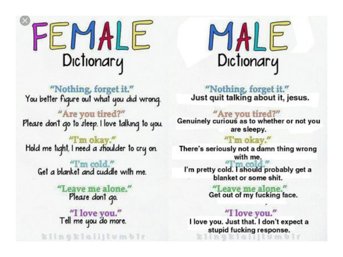 Humoristisk jämförelse av "Female Dictionary" och "Male Dictionary" med motsvarande meningar och tolkningar.