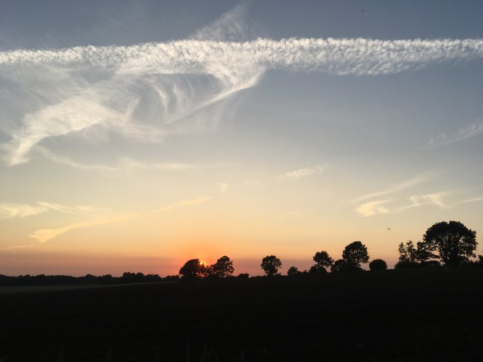 Solnedgång med orangerosa himmel och silhuetter av träd mot ljus himmel med molnstrimmor.