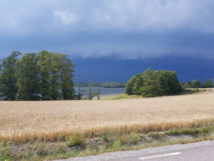 Dramatisk himmel över fältet vid sjön Sillen, mörka moln som samlas i horisonten.