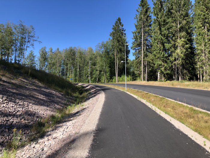 Nybyggd gata i tomtområde med gatlyktor och omgivande skog under solig dag.