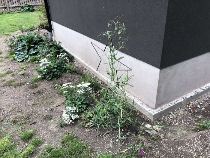 Hörn av hus med sockeldetalj, ogräs och planteringar intill jordyta som förbereds för stenkross och gatsten.