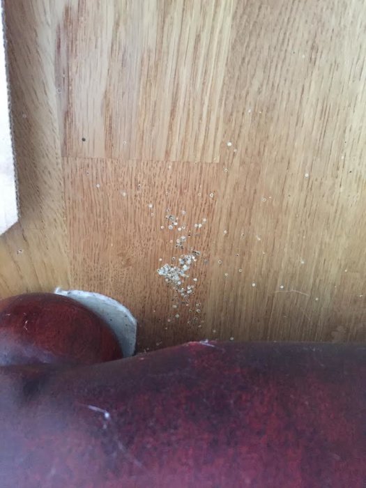 Närbild av ny parkettgolv med vita prickar, några med svart mittpunkt, bredvid rött soffben.