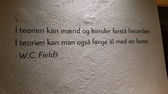 Text på en vägg med citat på danska av W.C. Fields om teoretisk förståelse mellan könen.