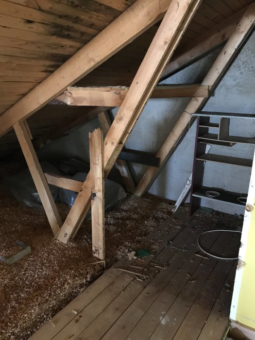 Utrymme under tak med träbjälkar och stöttor, isoleringsmaterial på golvet, obonad vind.