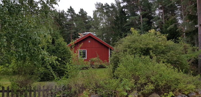 Rött hus med nytt plåttak bland gröna träd och buskar, sett från vägen.