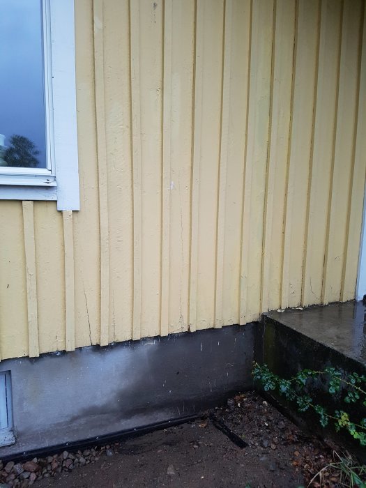 Blöta fläckar på en husvägg bredvid betongtrappa indikerar fuktproblem efter regn.