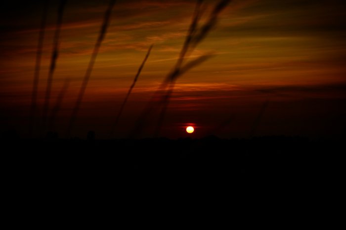 Solnedgång med silhuett av landskap och suddiga grässtrån i förgrunden.