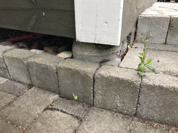 Entrétrappa i betong som sjunkit på ena sidan med synlig glapp vid pelaren och sprickor i anslutande panel.