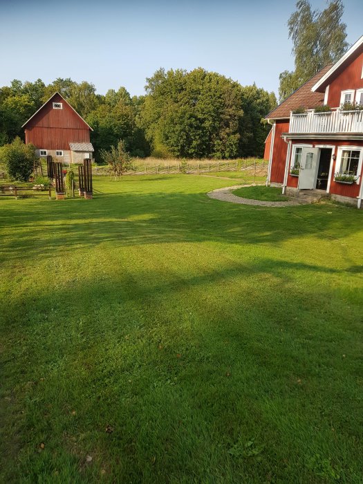 Nyligen klippt gräsmatta framför en röd stuga med vita knutar och ett rött laduliknande uthus.