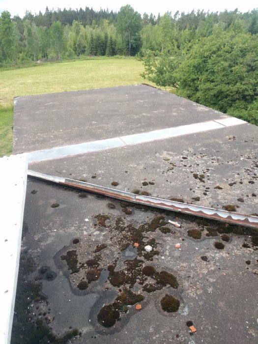 Flat concrete roof with visible seam covered by metal flashing and signs of leaking and moss growth on the surface.