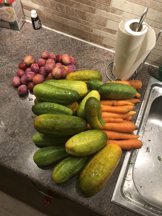 Skörd av grönsaker på köksbänk: gurkor, morötter och plommon.