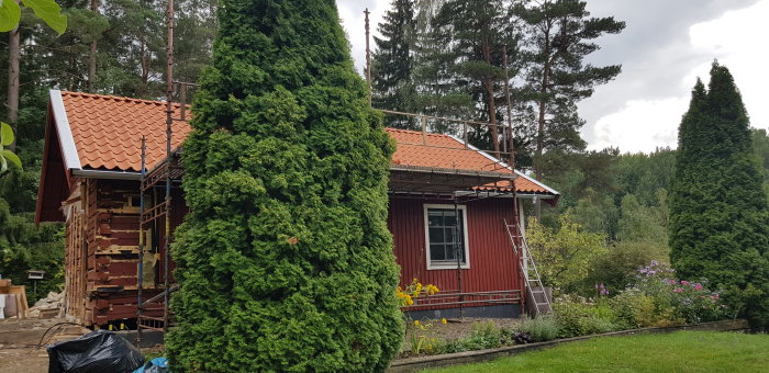 Renovering av ett rött trähus med byggställning, delvis avlägsnade stockar och en omgivande trädgård.