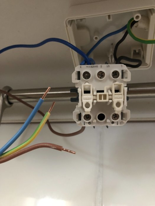 Elektrisk dosa med lösa kablar redo att anslutas: blå, brun, grön/gul och bar koppartråd.