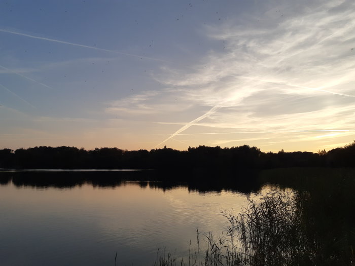 Solnedgång över en stilla sjö med träd och gräs i silhuett och flygplansstrimmor på himlen.