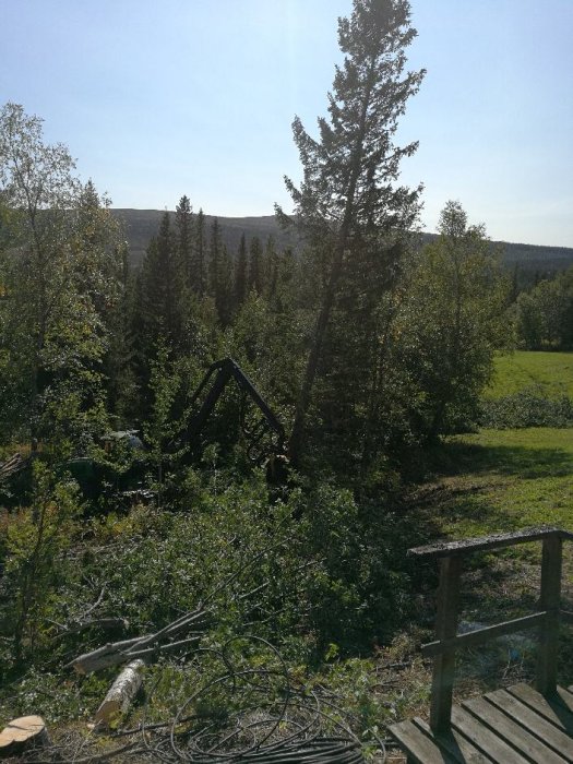 Utsikt från en veranda med grönska och grävmaskin som röjer vegetation.