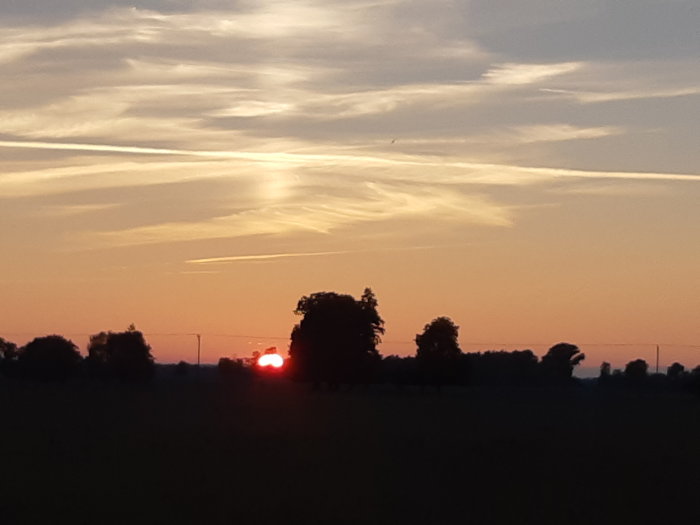 Solnedgång över ett öppet fält med silhuetter av träd mot en dramatisk himmel.