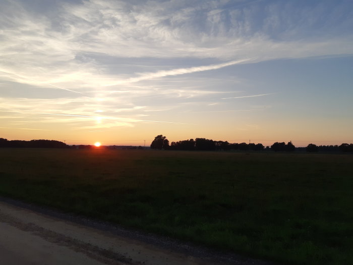Solnedgång över ett öppet fält med dispergerat ljus i himlen och silhuetter av träd i horisonten.