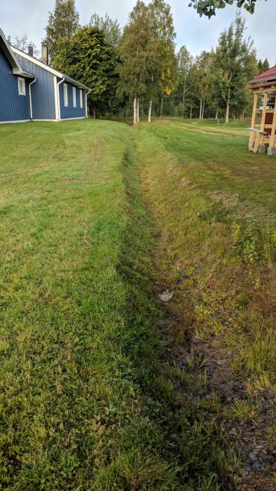 Grönt dike bredvid ett blått hus och en lekstuga, inramat av gräsmatta och träd i bakgrunden.