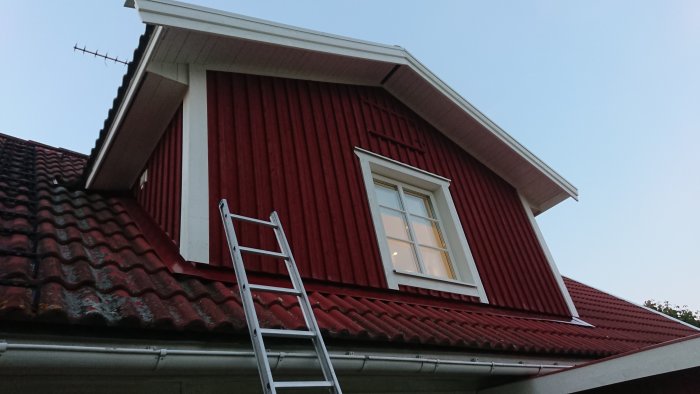 Nymålade fönsterluckor på röd stuga med stege lutad mot fasaden vid skymning.