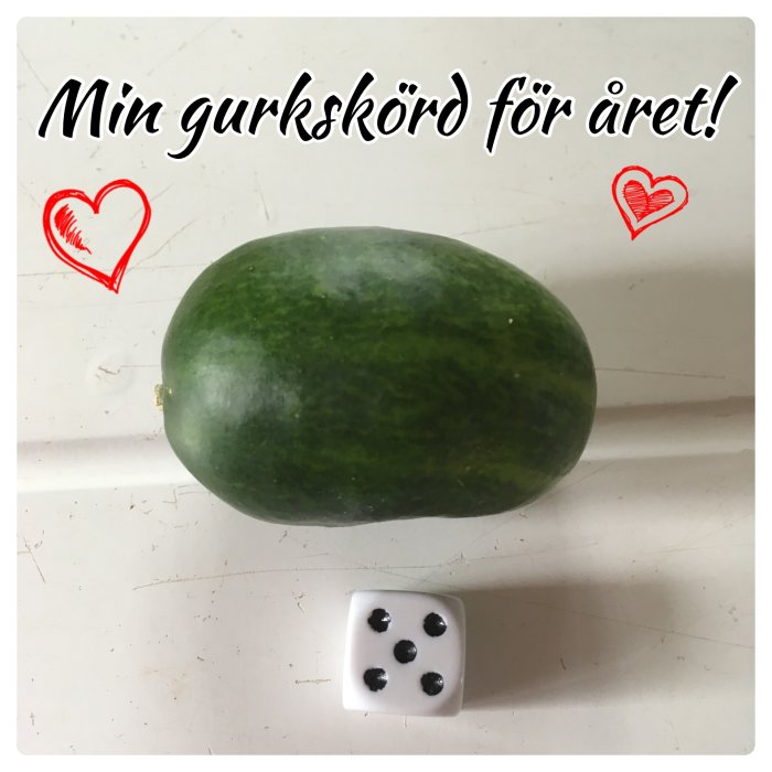 En liten grön gurka bredvid en tärning på en vit yta med texten "Min gurkskörd för året" och hjärtan.