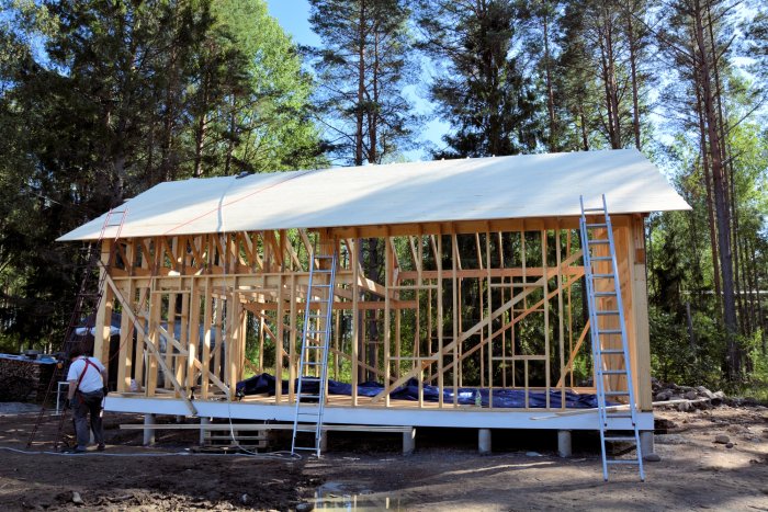 Hus under konstruktion med råspont och delvis lagd papp på taket, med stegar och skog i bakgrunden.