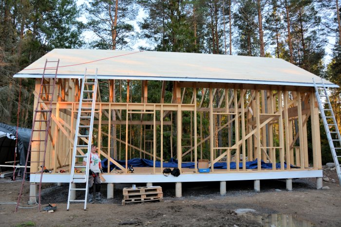 En träkonstruktion med påbörjat tak av råspont, person står bredvid en stege.