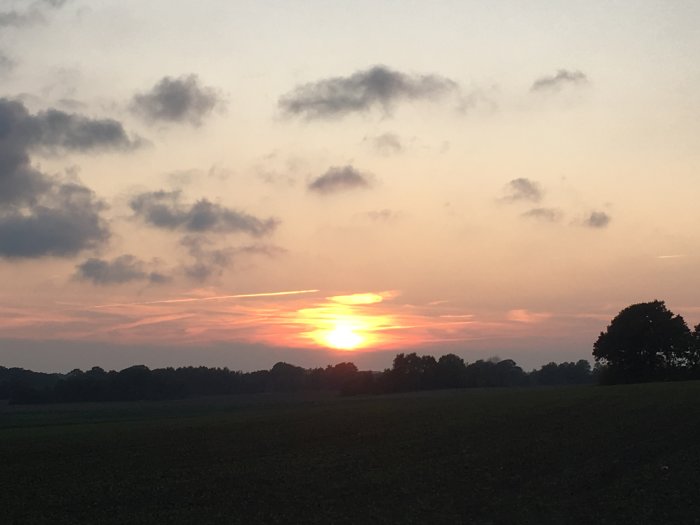Solnedgång över ett öppet fält med silhuetter av träd och dramatisk himmel.