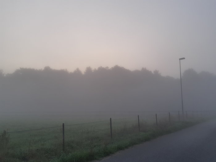 Dimmig soluppgång över en äng med silhuetter av träd och gatlykta.