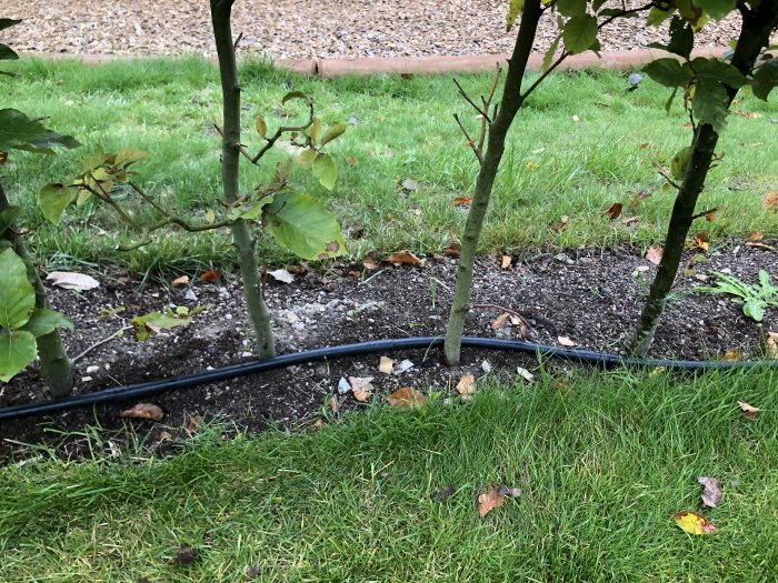 2018-09-07 16.18.55.jpg