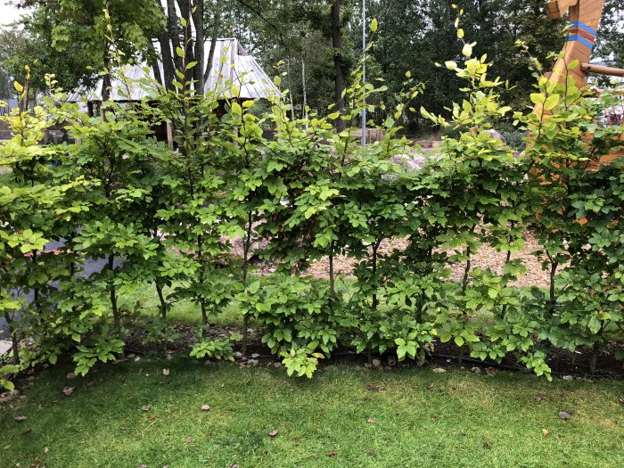 2018-09-07 16.18.27.jpg