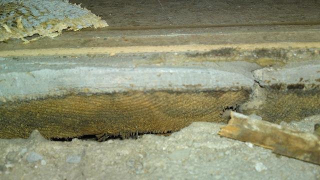 11092009001.jpg