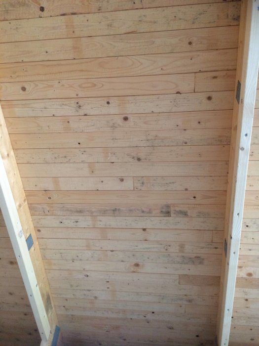 Undertak av trä med gröna mögelfläckar i ett garage som nyligen blivit exponerat efter rivning.