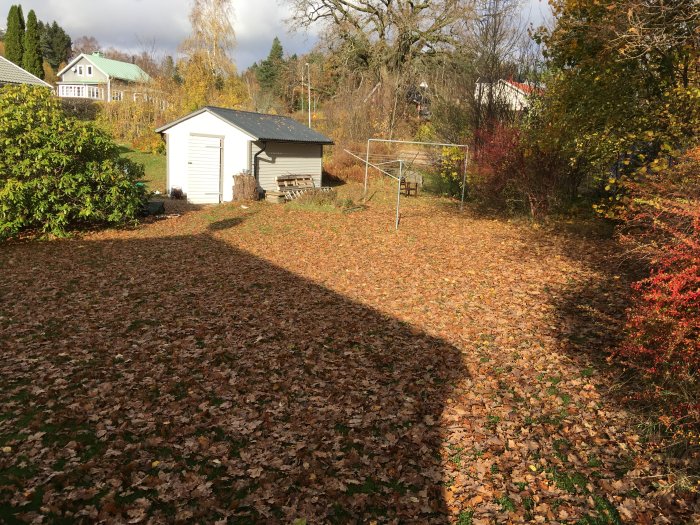 En stor trädgård täckt av höstlöv med ett litet hus och en fotbollsmål under soligt väder.