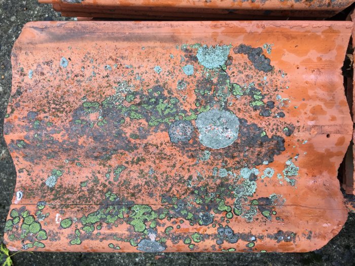 En äldre tegelpanna med mossa och patina, indikation på många års exponering för väder och vind.