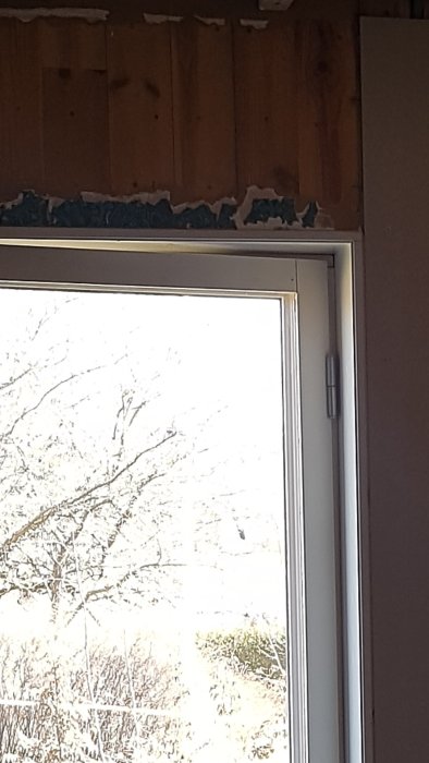 Fönster med synlig isolering och träd synliga genom glasrutorna.