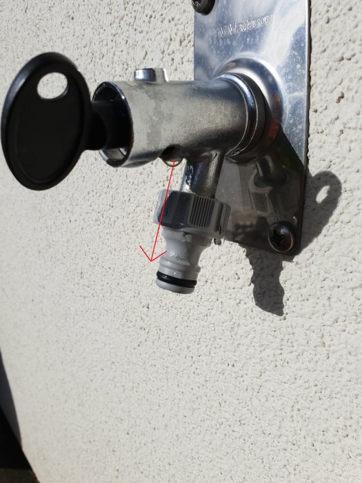 vattenut.jpg