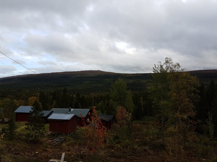 Utsikt över skogsmark med röda stugor och berg i bakgrunden före avverkning.