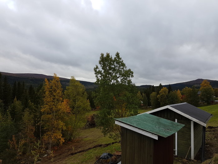 Utsikt över höstlandskap med träd i olika färger, med fjäll i bakgrunden och ett skjul i förgrunden.