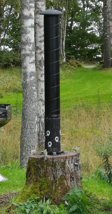 Svart stor fågelmatare monterad på stubbe omgiven av grönska med en mes.