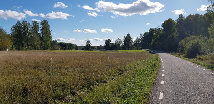 Asfalterad landsväg omgiven av öppna ängar och träd under en klarblå himmel.