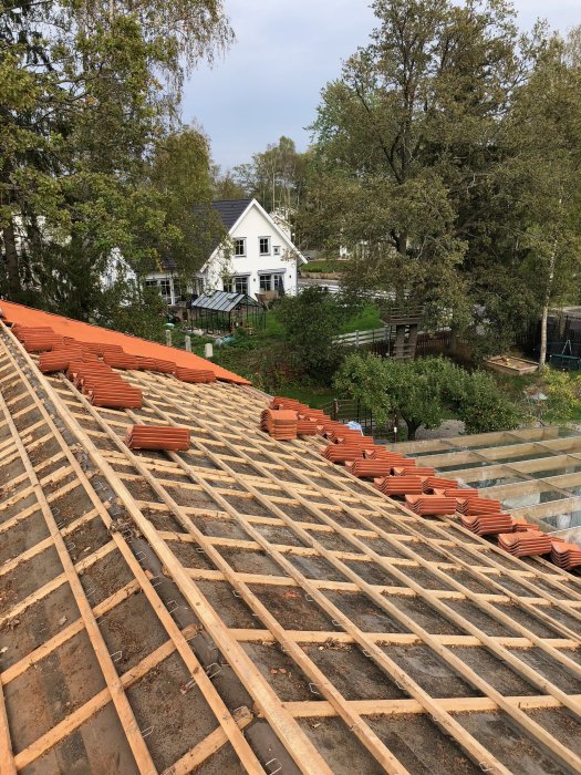 Tak under renovering med nedplockade tegelpannor längs takstolarna, vy över bostad och trädgård.