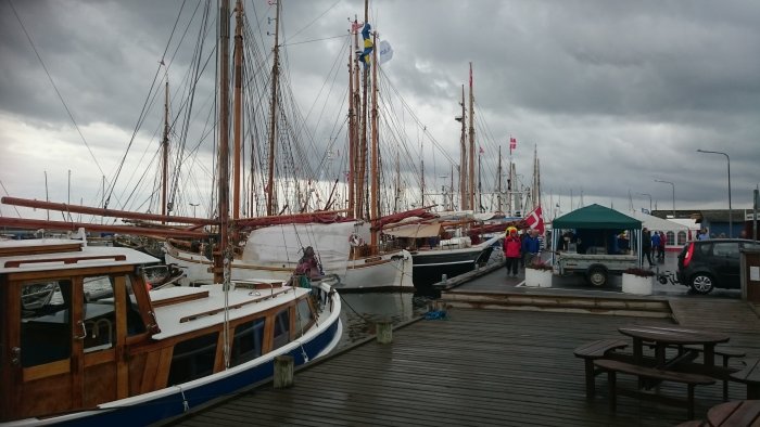 Träskutor förtöjda vid en brygga under molnig himmel i Limfjorden, Danmark.