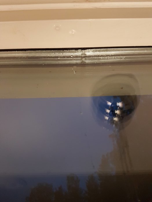 20180911_201852.jpg