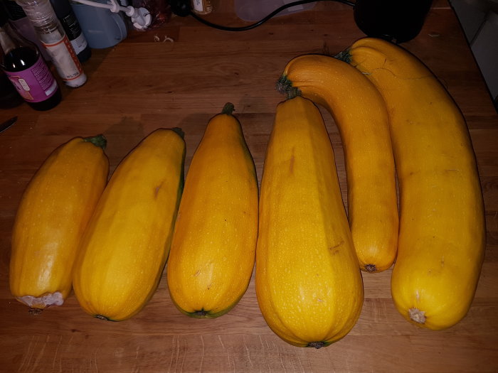 Fem stora gula squashar på en träyta, en över halvmetern lång.