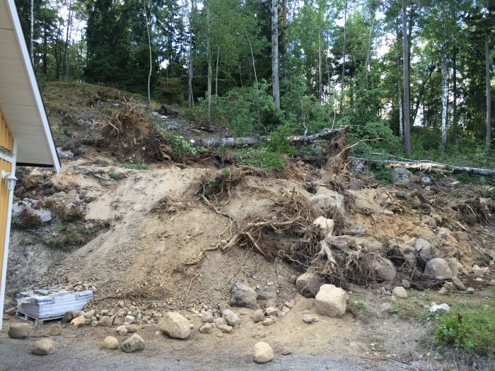 Avverkad skog med rotsystem synliga och uppgrävd mark nära ett hus.